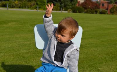 dimethyl sebacate ����������