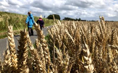 要培養孩子閱讀傳統文學的興趣,家長需要...