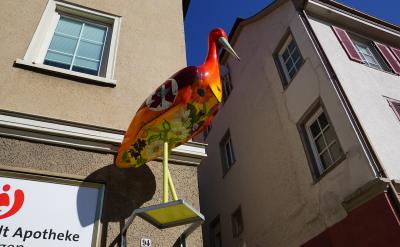 ��܊�·��棬����׃��ͬ��ȡ�����@����Ч��...