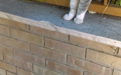 中國(guó)提出的“一帶一路”倡議不斷推進(jìn),加強(qiáng)...