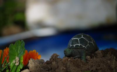 ������w���A ���ӵ�����