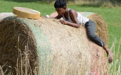 ���L�����������eֹ�����ӵ�Ӱ����P��Ҫ��...